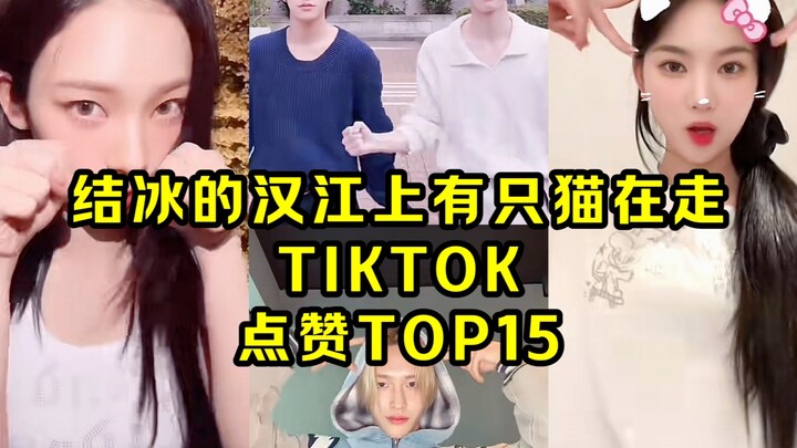 韩国人又疯了！一夜爆红！符迅速破百万！柳智敏女豆第一！韩团的'结冰的汉江上有猫在走'挑战 TIKTOK点赞TOP15