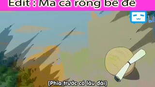 Con rùa được cử đi tìm quê hương #anime