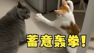 So now do you understand why boxing has weight classes???