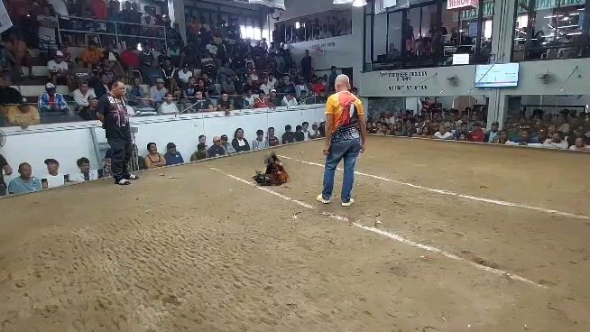 Possum Sweater x melsims