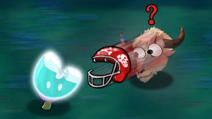 The leading cow gets rich by selling helmets!