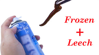 Animal | Freezing The Leech And Unfreezing It Instantly