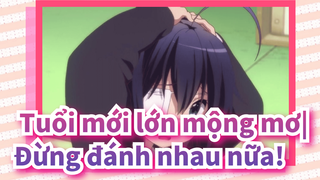 Tuổi mới lớn mộng mơ|【Beat hòa âm】Đừng đánh nhau nữa!