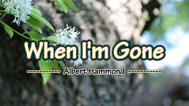 when I'm gone karaoke by Albert Hammond