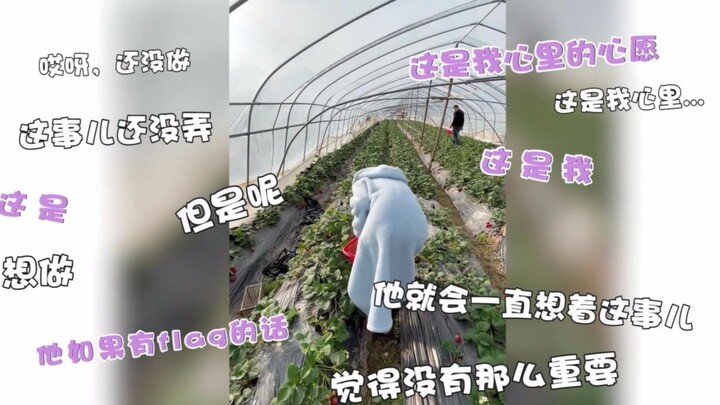 [Zhao Lusi’s Vlog] My Little Wish — I Finally Got to Pick Strawberries!