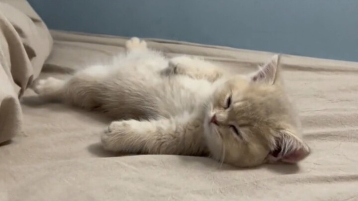 แม่งน่ารักเกินไปแล้ววว～