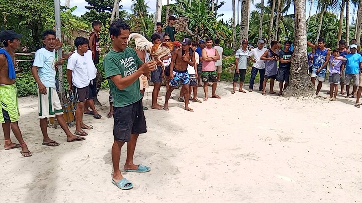 banogon vs talisayon...