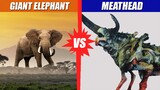 Giant Elephant vs Meathead | SPORE