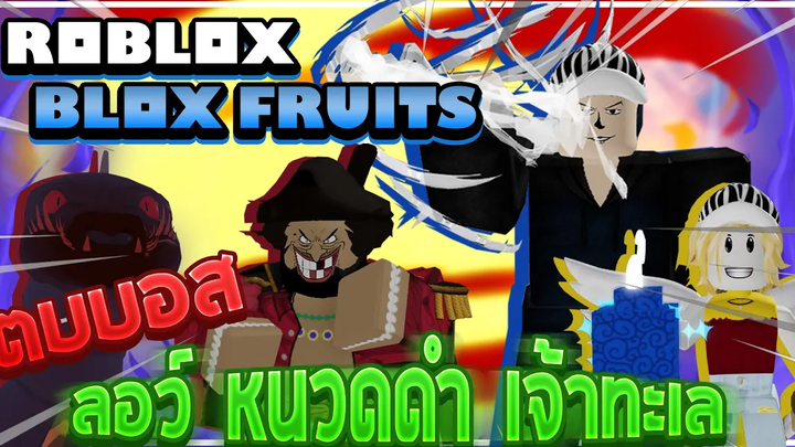 Roblox Blox Fruits ลงบอสลอว์กับ FC เพื่อเอาดาบ KOKO! แต่เจอผลปีศาจโอเปะฟรี! (เจ้าทะเล หนวดดำ ลอว์)