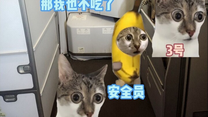 When Your In-Flight Meal Is West Lake Vinegar Fish