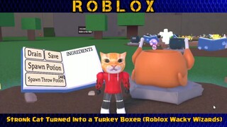 Stronk Cat Turned Into a Turkey Boxer (Roblox Wacky Wizards) #1