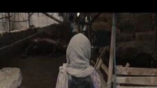 Shahmaran EP 6 [Sub Việt]