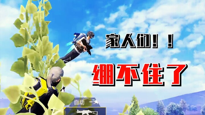 主播...你是做什么工作的？？