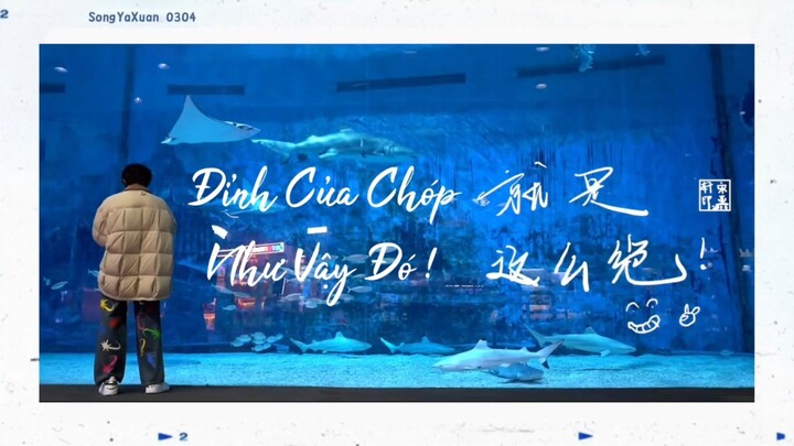 [VIETSUB FULL] Vlog sinh nhật 20 tuổi của Tống Á Hiên《Đỉnh Của Chóp Như Vậy Đó!》