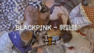 Blackpink Full Vlive