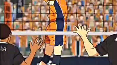 your setter