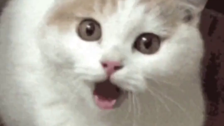 Raising a baby is expensive: over 60,000 yuan spent in four months!