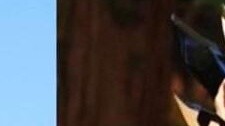 [X ซอส] มีชีวิตรอดกันครบสองตอนเลยเหรอ? มาดูการแปลงร่างและบันทึกการต่อสู้ของทรานส์ฟอร์เมอร์ Bitter Ga