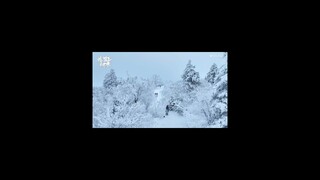 😍😍 #SkiIntoLove