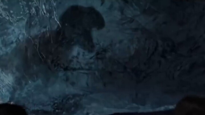 DOMINION (2026)