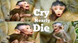 Billion Cry Cry Nearly Die, Very Pity Baby Monkey Cry Loudly Loudly Until Weakness