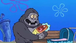 The little sponge turned out to be a fake sponge made of a gorilla covered with a sponge cover.