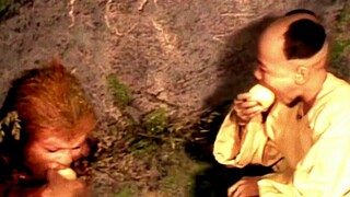 "You pick fruits for me, and I will protect you and keep you safe." #Journey to the West# A chicken 