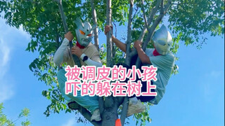赛罗迪迦被调皮的熊孩子吓得躲在树上