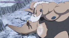 BORUTO: Naruto Next Generation: Borushikki VS Boro.