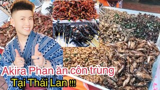 [Món ăn kinh dị] Akira Phan ăn côn trùng ở Thái Lan