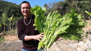Rau Cải Mèo Canh Với Sóc Rừng | Hoa Ban Tây Bắc