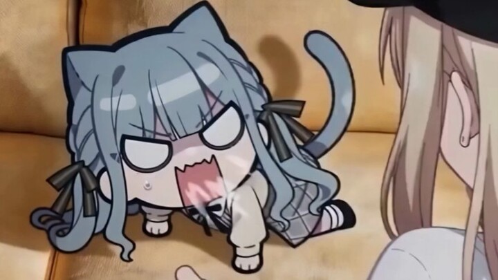 Chuhua was just petting a cat.