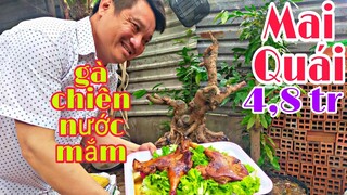 Gà chiên nước mắm nguyên con và mai phôi quái thú giá 4,8tr.