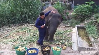 เย็นนี้พ่อใจดีจัดหนักให้น้ำเพชรสักหน่อยกินให้อิ่มนะครับลูก🤗