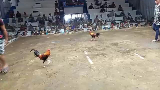 buyer update ( HEME's golden boy) win