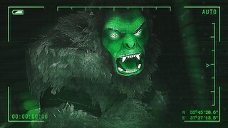 Bigfoot w/ Night Vision