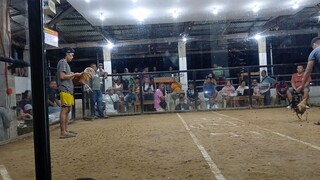 magaling na ormoc gold  nasubukan kona