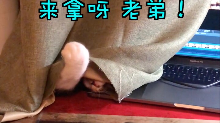 You need to learn how to conceal yourself.