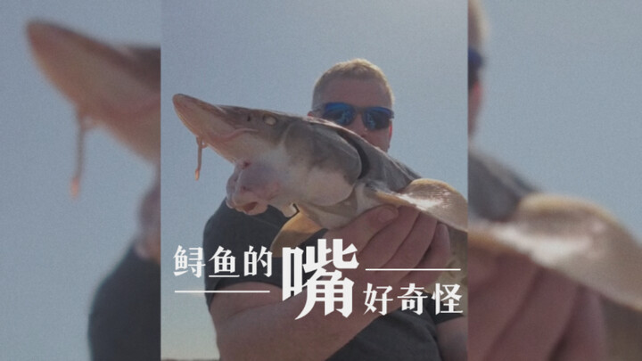 “You are not a fish; how can you know the joy of fish?”