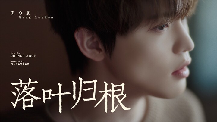 【NCT】คัฟเวอร์｜เฉินเล่อ - ใบไม้ร่วงสู่รากเหง้า (หวังลี่หง)