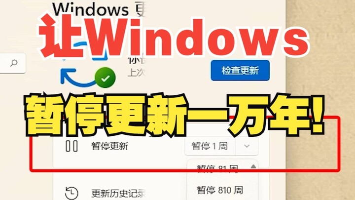 Làm thế nào để hệ điều hành máy tính ngừng cập nhật vĩnh viễn? 【UGREEN】