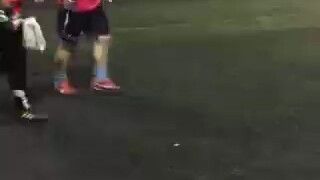 Professional soccer match—amateurs proceed with caution.