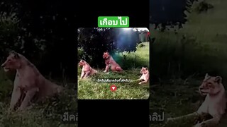 เกือบไป