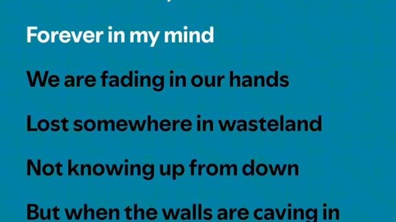 vingela pandamon forever to get