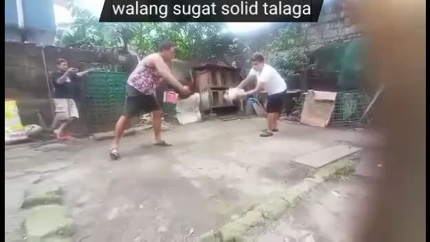 N.R Masaraga Gamefarm bloodline solid po talaga mga manok nyo quality