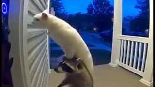 Ngaku aja pasti kalian pernah kan 🗿🗿🗿