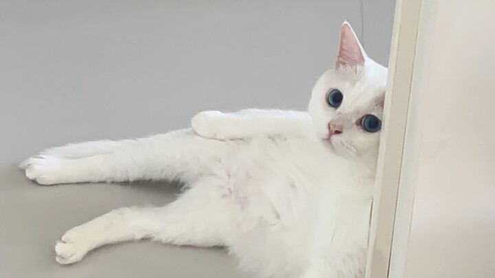 What’s the difference between moms and dads when it comes to parenting?