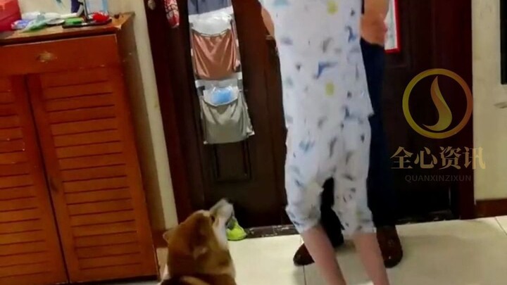 หมา: ฉันไม่เอาการกอดแบบขอไปทีแบบนี้หรอก!