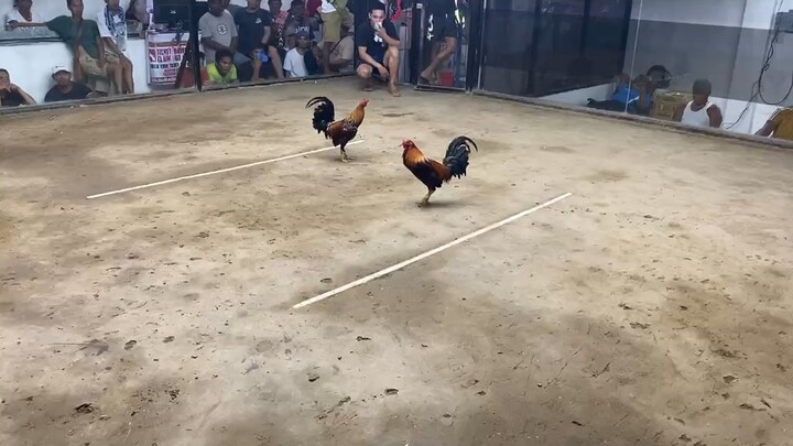 2nd fight, 2hits ulotan champion 🏆