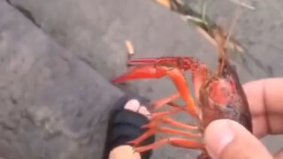 Crayfish: It’s enough to have it delivered to your door, but you have to go home and have a couple o
